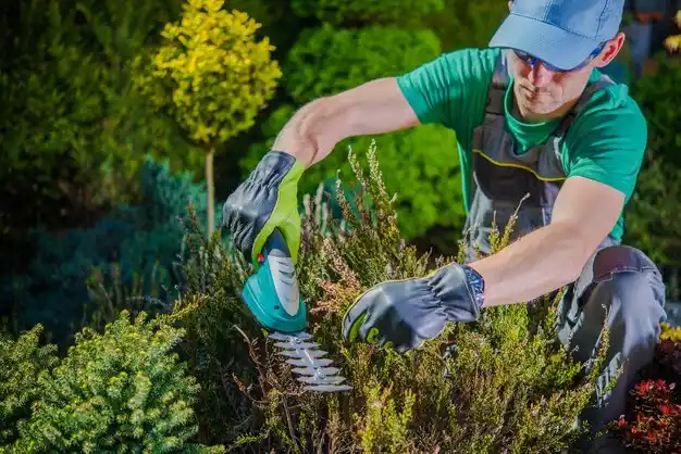 landscaping services St. Bonaventure